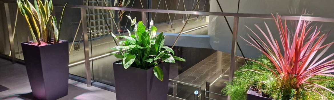 Įgyvendintas projektas: Lietuvos Respublikos generalinės prokuratūros lauko ir vidaus augalų priežiūra ir apželdinimas