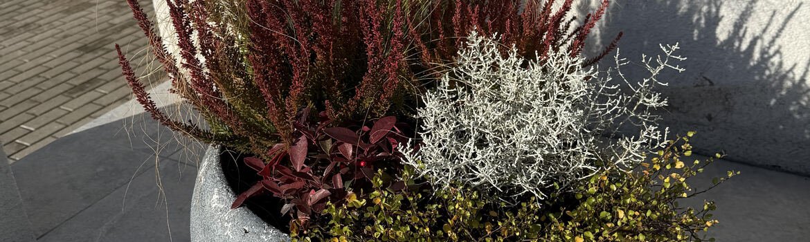 Individualaus namo pagrindinio įėjimo dekoravimas