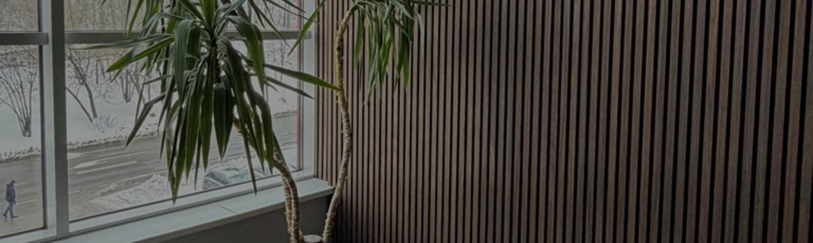 Įgyvendintas projektas: Augalų persodinimas UAB "PPF Solutions"  biure