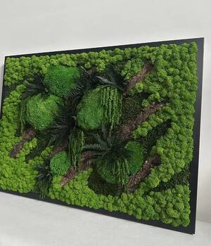 Stabilizuotų augalų dekoracijos ir paveikslai