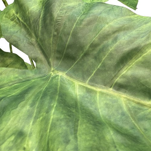 Dirbtinis Alocasia Zebrina augalas, 94 cm.