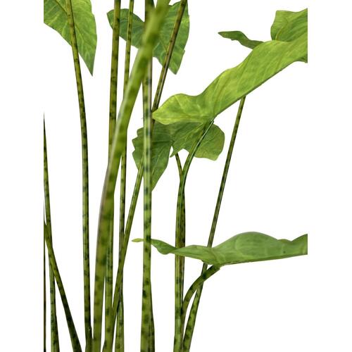 Dirbtinis Alocasia Zebrina augalas, 94 cm.