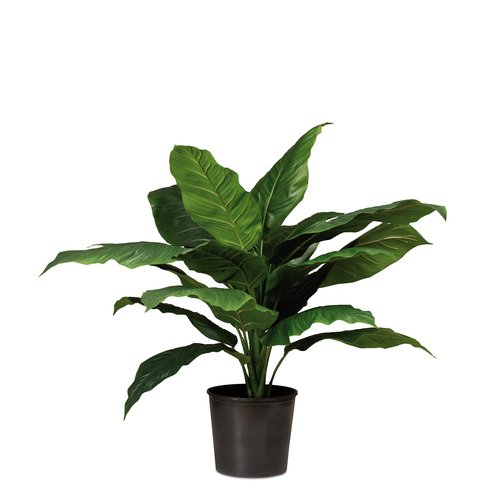 Dirbtinis augalas Spathiphyllum, 90 cm.