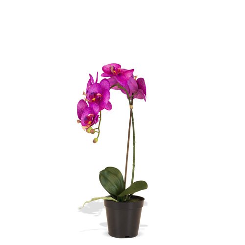Dirbtinė orchidėja, 55 cm. 2