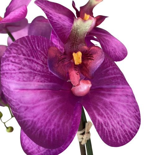 Dirbtinė orchidėja, 55 cm. 1
