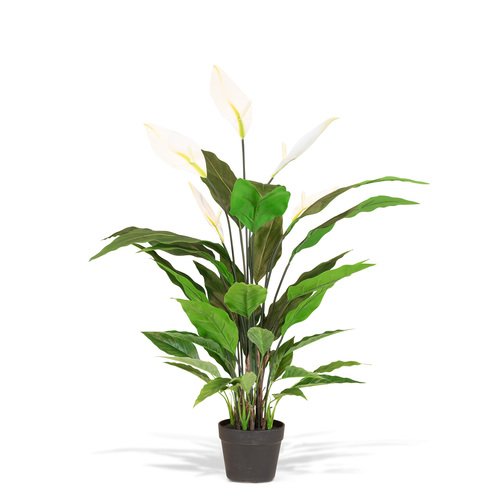 Dirbtinis augalas Spathiphyllum, 95 cm. 1