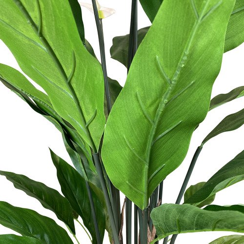 Dirbtinis augalas Spathiphyllum, 95 cm. 2