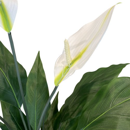 Dirbtinis augalas Spathiphyllum, 95 cm. 3
