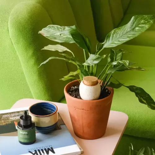 Lašelinis augalų drėkintuvas, žalias 1