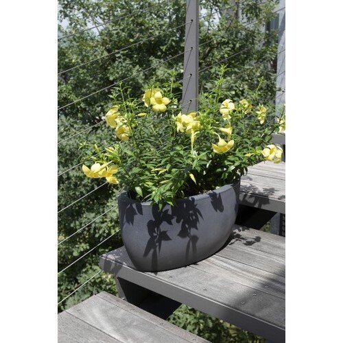 50x29x23cm lovelis 2