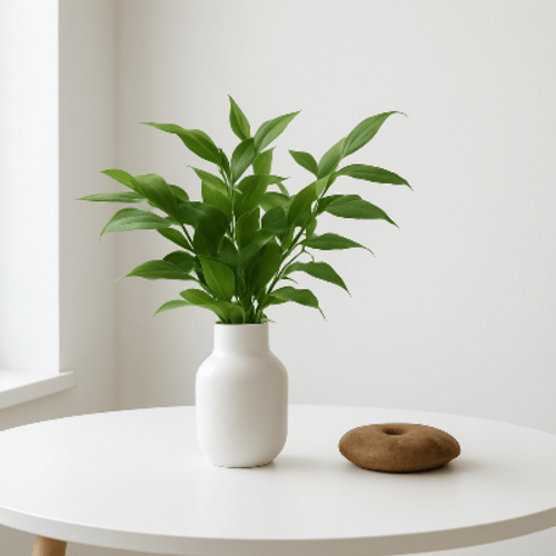 Stabilizuotų eukaliptų puokštė