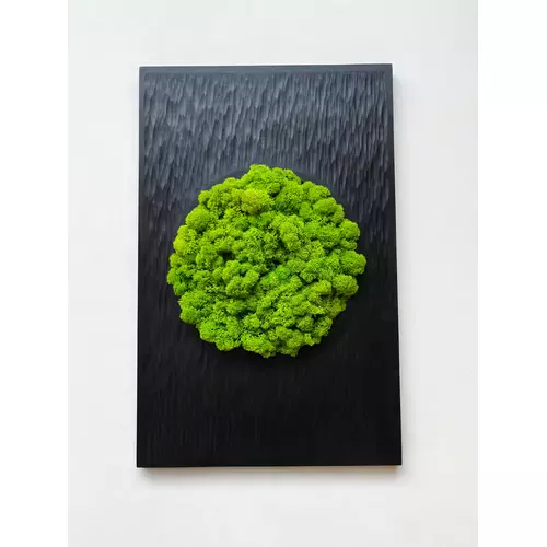 Skaptuoto efekto paveikslas su samanomis 2