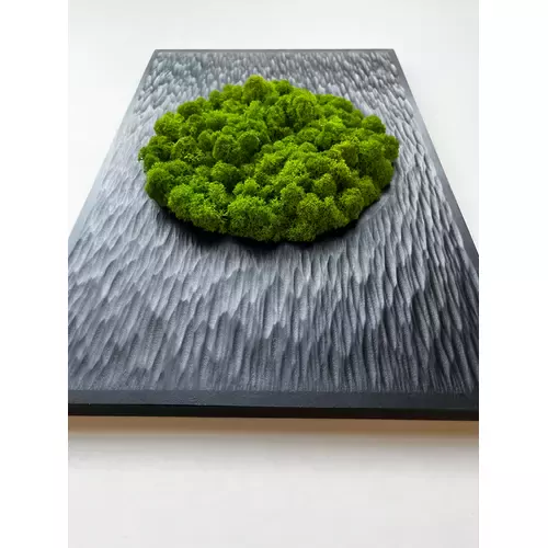 Skaptuoto efekto paveikslas su samanomis