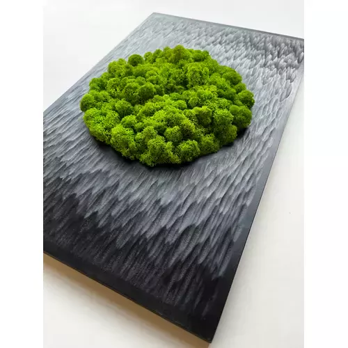 Skaptuoto efekto paveikslas su samanomis 1