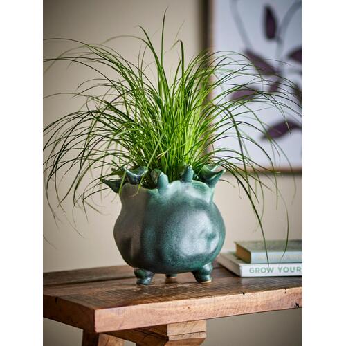 Žalias vazonas su paukščiais 2