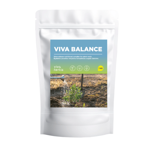 Viva Balance, 1 kg 