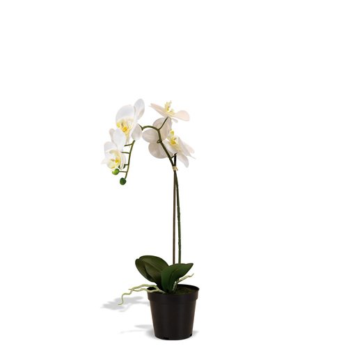 Dirbtinė orchidėja, 55 cm. 1
