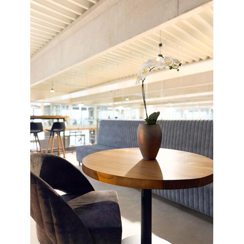 Dirbtinė orchidėja, 55 cm.