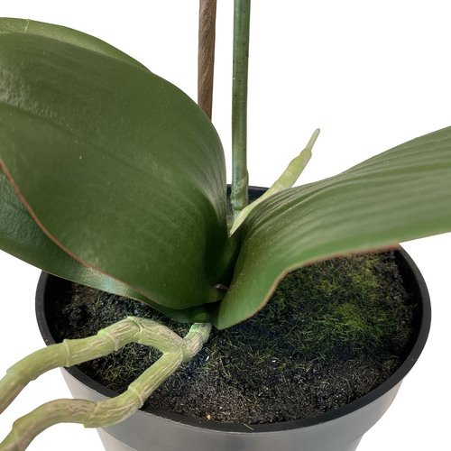 Dirbtinė orchidėja, 55 cm. 4