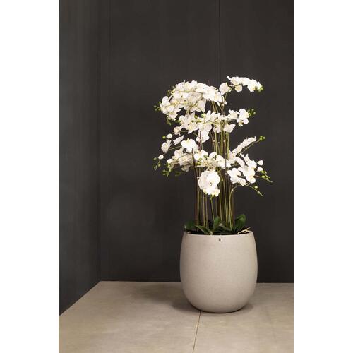 Dirbtinė orchidėja, 92 cm.