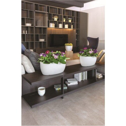 50x29x23cm lovelis 1