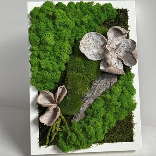 Paveikslas su stabilizuotomis samanomis