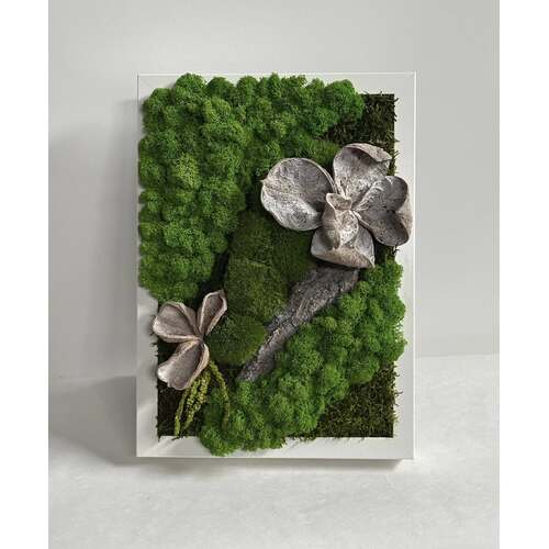 Paveikslas su stabilizuotomis samanomis 3