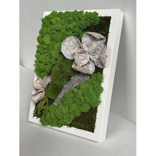 Paveikslas su stabilizuotomis samanomis 4