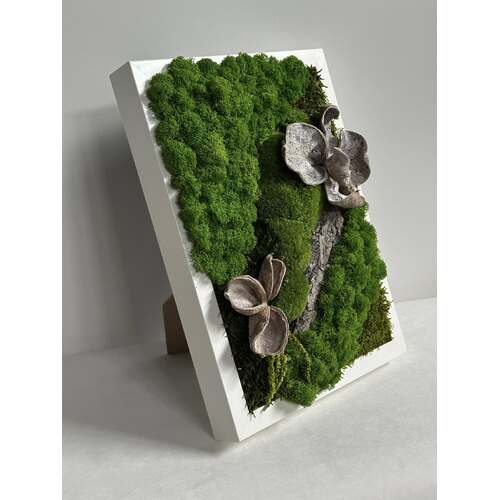 Paveikslas su stabilizuotomis samanomis 2