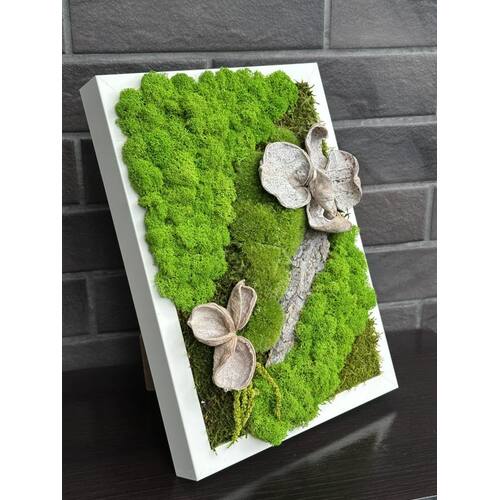 Paveikslas su stabilizuotomis samanomis 1