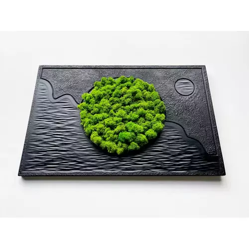 Stabilizuotų samanų paveikslas 2