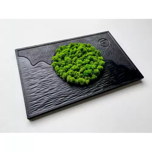 Stabilizuotų samanų paveikslas 1