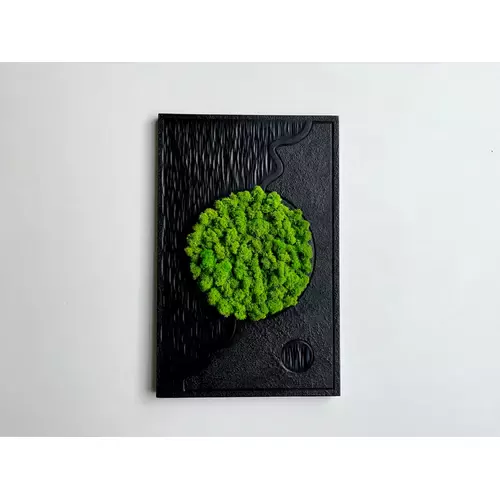 Stabilizuotų samanų paveikslas