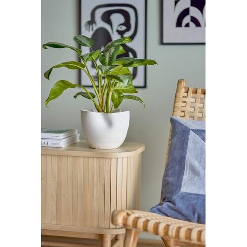 Baltas banguotas vazonas 1