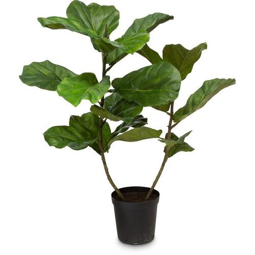 Dirbtinis Ficus Lyrata augalas, 107 cm.