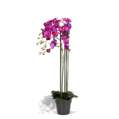 Dirbtinė orchidėja, 92 cm. 1
