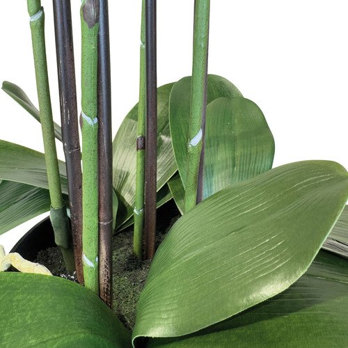 Dirbtinė orchidėja, 92 cm. 3