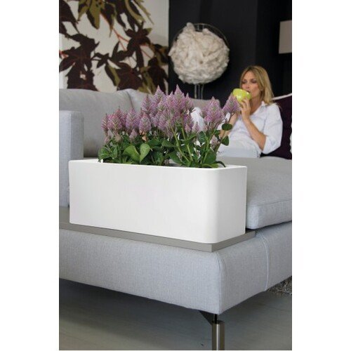 50x20x18cm lovelis 1