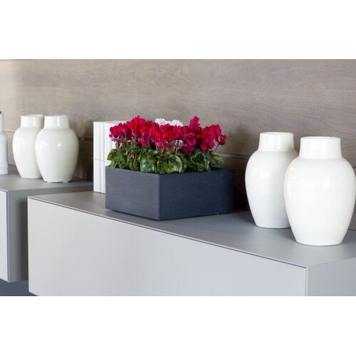 25x25x12cm vazonas 1