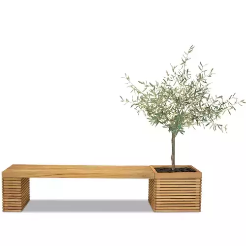 Medinis suolelis su vazonu, 160 x 51 x 43 cm