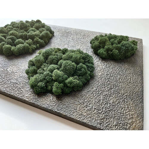 Stabilizuotų samanų paveikslas 1