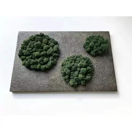 Stabilizuotų samanų paveikslas 2