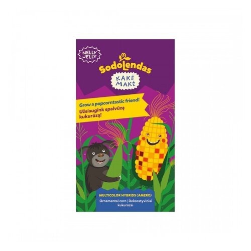 DEKORATYVINIAI KUKURŪZAI MULTICOLOR HYBRIDS (AMERO) - KAKĖ MAKĖ
