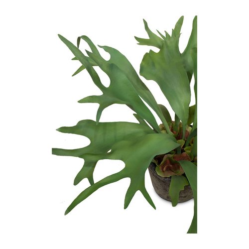 Dirbtinis papartis, 55 cm. 3