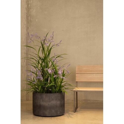 Dirbtinė levanda, 75 cm.