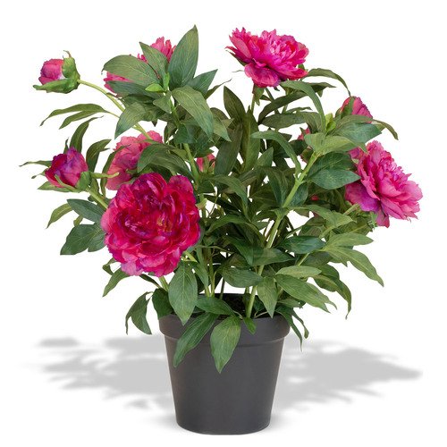 Dirbtinis bijūnas, 70 cm. 1