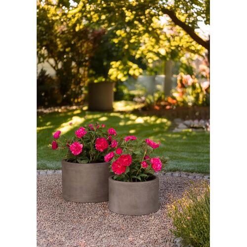 Dirbtinis bijūnas, 70 cm.