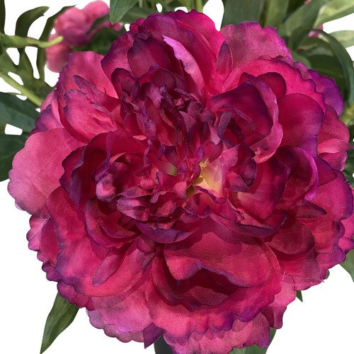 Dirbtinis bijūnas, 70 cm. 2