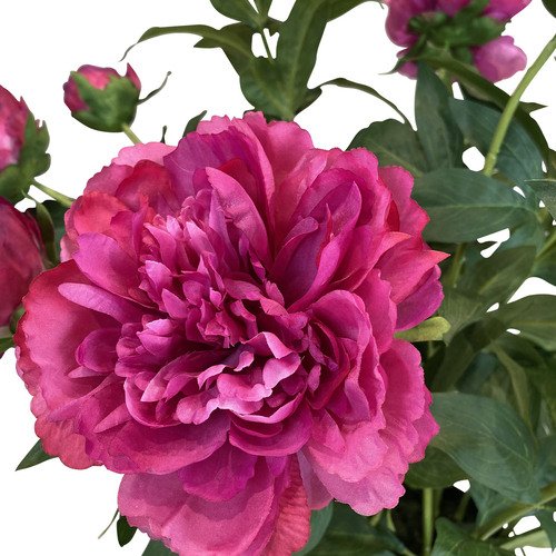 Dirbtinis bijūnas, 70 cm. 3