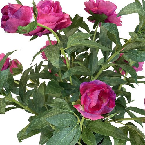 Dirbtinis bijūnas, 70 cm. 4